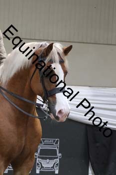 ALF-2272