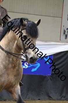 ALF-2278
