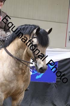 ALF-2279
