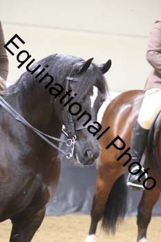 ALF-2285