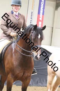 ALF-2288
