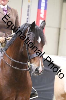 ALF-2291