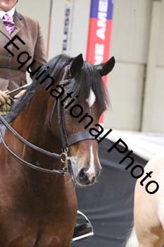 ALF-2292