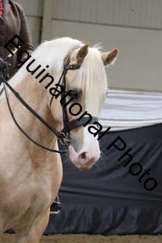ALF-2299