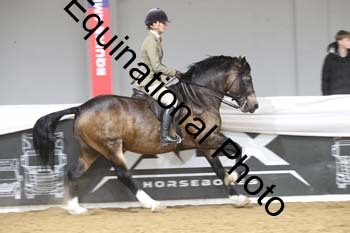 ALF-2311