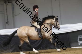 ALF-2313