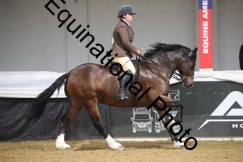 ALF-2324