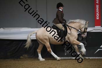 ALF-2326