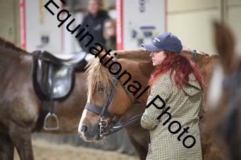 ALF-2328