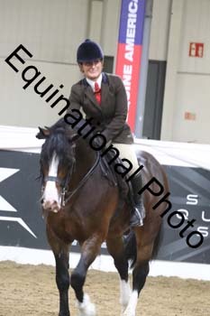 ALF-2336