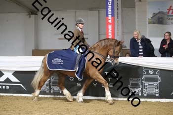 ALF-2361