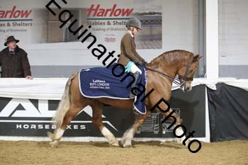 ALF-2363