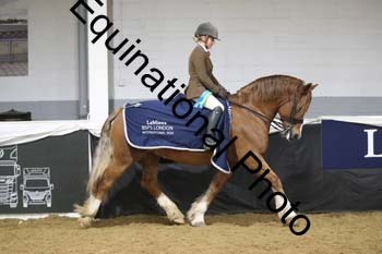 ALF-2364