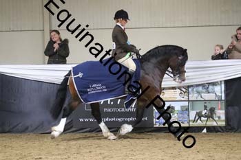 ALF-2368