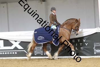 ALF-2376