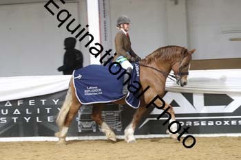 ALF-2377