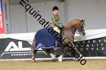 ALF-2379