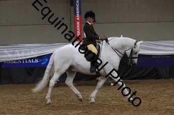 ALF-2393