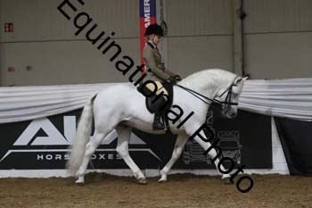 ALF-2396