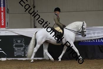 ALF-2397