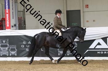 ALF-2399