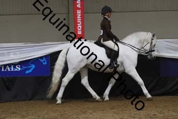 ALF-2407