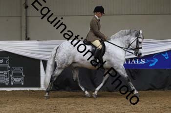 ALF-2439