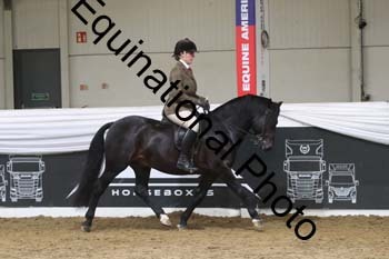 ALF-2446