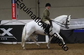 ALF-2459