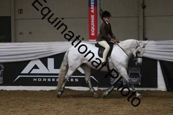 ALF-2465