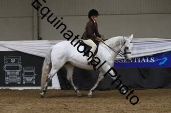 ALF-2466