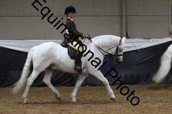 ALF-2479