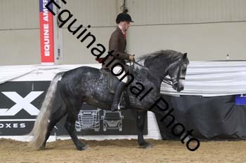 ALF-2484