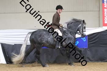 ALF-2485
