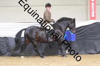 ALF-2487