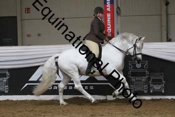 ALF-2498