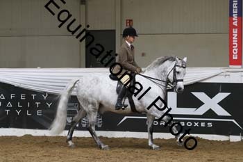 ALF-2508