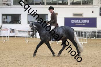 ALF-2526
