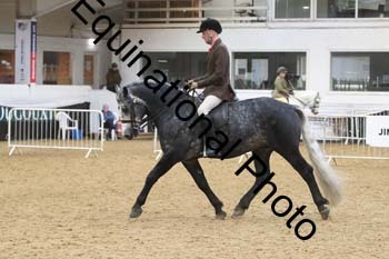 ALF-2527