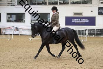 ALF-2529