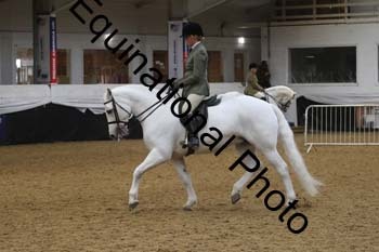 ALF-2539