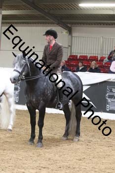 ALF-2569
