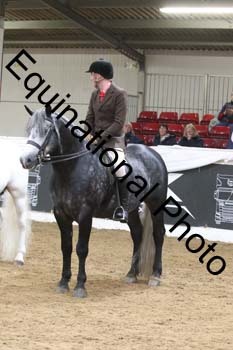 ALF-2570