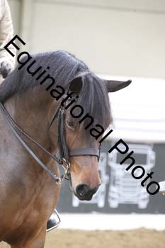 ALF-2584
