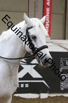 ALF-2588
