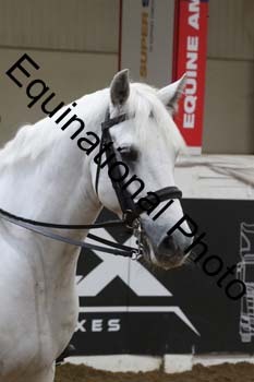 ALF-2589