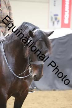 ALF-2603