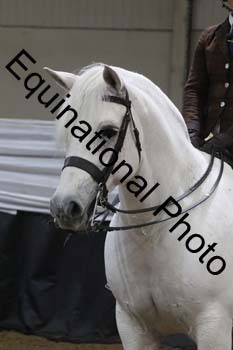 ALF-2613