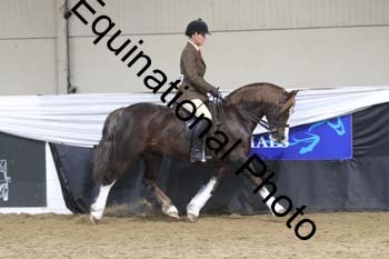 ALF-2723