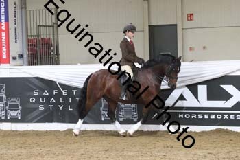 ALF-2726